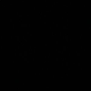 Meet your Posher, Dylan